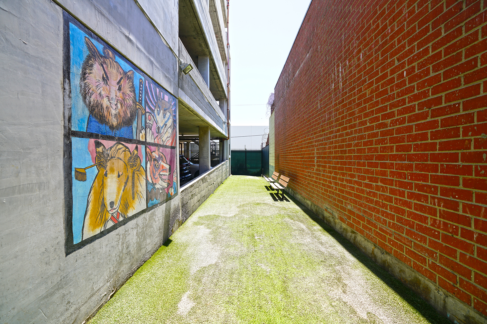 Little Tokyo Lofts-dog run 2